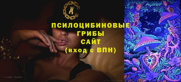 гидропоника Аркадак