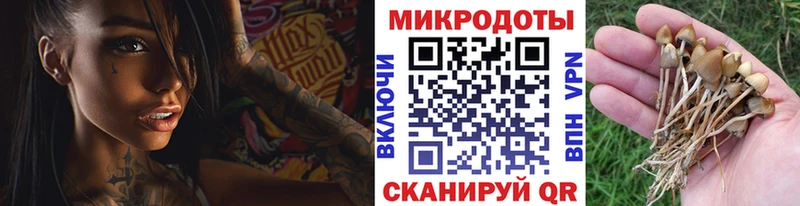 Псилоцибиновые грибы ЛСД  как найти закладки  гидра   дарк нет телеграм  Окуловка 